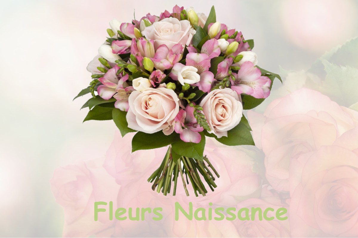 fleurs naissance VRIANGE